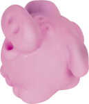 Radiergummi Glücksschwein 4061947064827