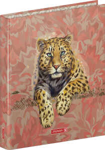 Ringbuch A4 2R 20mm Safari World