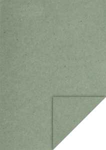 Briefbg.A4 eucal.FSC 4005329154478