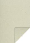 KartonA4 gras FSC 4005329154799