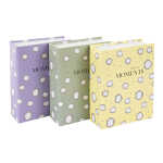 Goldbuch Einsteckalbum für 100 Fotos Paris