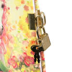 Goldbuch Tagebuch Akira