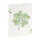 Goldbuch Notizbuch Lucky Clover