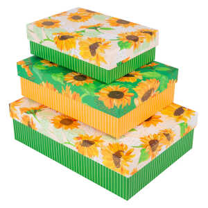 Goldbuch Kartonagen-Set Sunflower