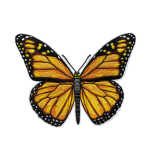 Roth Bügelbild Stickerei mit Druck, Schmetterling, 12cmx16cm