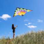 Delta Fireworks  4 m