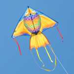 Delta Rainbow Fish 140 cm