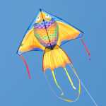 HQ Delta Rainbow Fish 140 cm 4031169321008