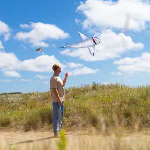 Great White Shark 7´