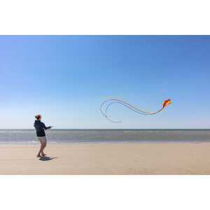 Dancer Rainbow II Expansion Kite