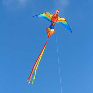 Ecoline: Parrot Kite