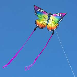Ecoline: Butterfly Kite Rainbow 120 cm