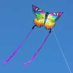 Ecoline: Butterfly Kite Rainbow 120 cm
