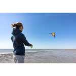 Ecoline: Quick Rainbow Bubbles