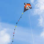 Ecoline Kinderdrachen Eddy Jolly Roger 50 cm