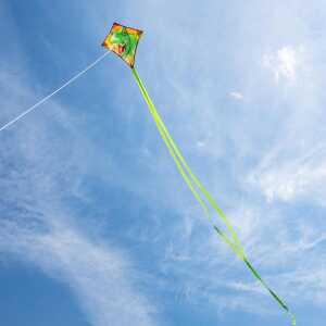 Mini-Eddy T-Rex 40 cm