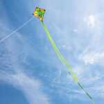 Mini-Eddy T-Rex 40 cm