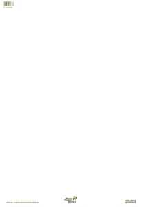 Green Flip Chart Block, 68 x 99 cm, blanko, 20 Blatt, 80g/qm