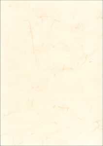 Elefantenhautpapier neutral A4 110g ws 100St
