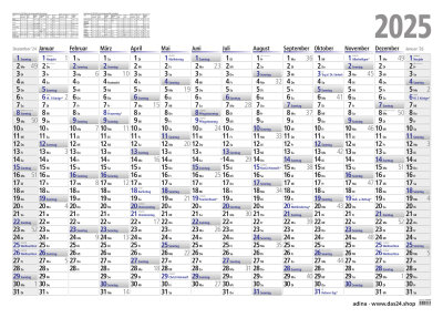 2025 ADINA Plakatkalender Wandkalender A2 60x42cm Lieferung: gefaltet