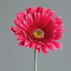 Kunstblume Gerbera 56cm fuchsia Stängel