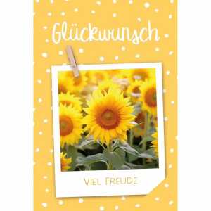 Kurt Eulzer Glückwunschkarte Viel Freude