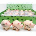 Glücksbringer Schwein Viel Glück 4fach sortiert