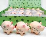 Glücksbringer Schwein Viel Glück 5x4cm