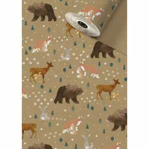 STEWO Secare Rolle Liun 50cmx250m