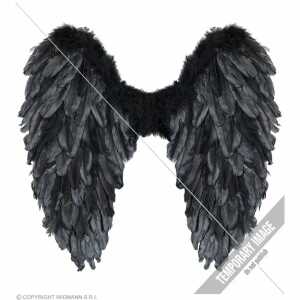 WIDMANN Federflügel Faltbar schwarz 50x50cm
