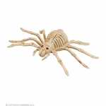 WIDMANN Deko Spinnen Skelett 24cm