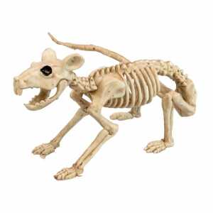 WIDMANN Deko Ratten Skelett 40cm