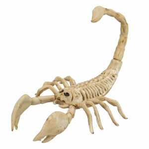 WIDMANN Deko Skorpion Skelett 30cm
