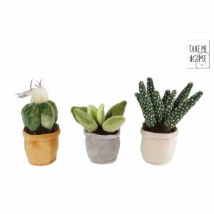 Plüsch Pflanzen 12-17cm 3fach sortiert