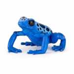 Spielfigur Frosch blau 3465000501754