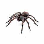 Spielfigur Spinne 3465000502928