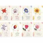 Glückwunschkarten Geburtstag 100 Stück 8fach...