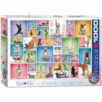 Puzzle Yoga Hunde 1000 Teile 628136609548