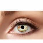 Kontaktlinsen Undead 1 4251302244401