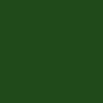 Servietten Soft Touch green forest 38x38cm 40 Stk 2-lagig...