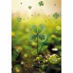 Kurt Eulzer Grußkarte Blanko Kleeblatt