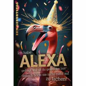 Kurt Eulzer Glückwunschkarte Geburtstag Flamingo Partyhut