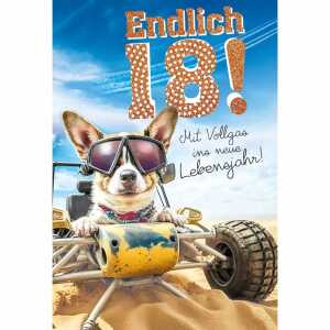 Glückwunschkarte 18.Geburtstag Hund Sonnenbrille Strandbuggy