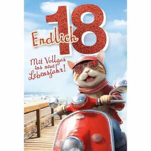 Kurt Eulzer Glückwunschkarte 18.Geburtstag Katze Mofa