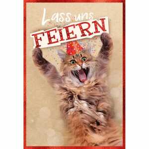Glückwunschkarte Geburtstag Pop-up lustige Katze Lass uns feiern Mofa