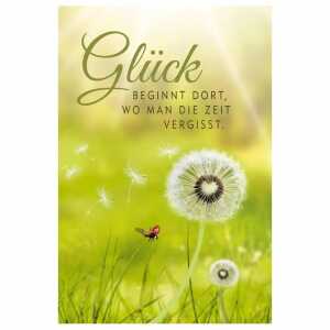 Glückwunschkarte Geburtstag Pop-up Marienkäfer Pusteblume Steinturm