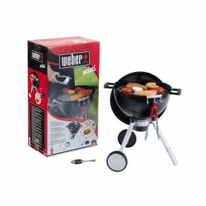 Kugelgrill Weber One Touch Premium