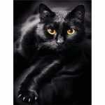 PRACHT Diamond Painting Schwarze Katze 40x30cm