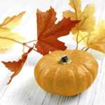 Paper+Design Servietten Pumpkin Leaf 24x24cm 20 Stück