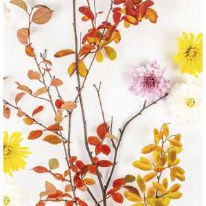 Paper+Design Servietten Autumn Branch 33x33cm 20 Stück